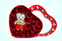 Подарочный набор &quot;Первый шаг&quot;, красный