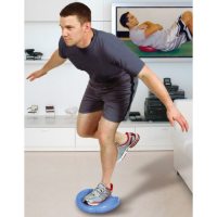 Диск балансировочный РАВНОВЕСИЕ Bradex